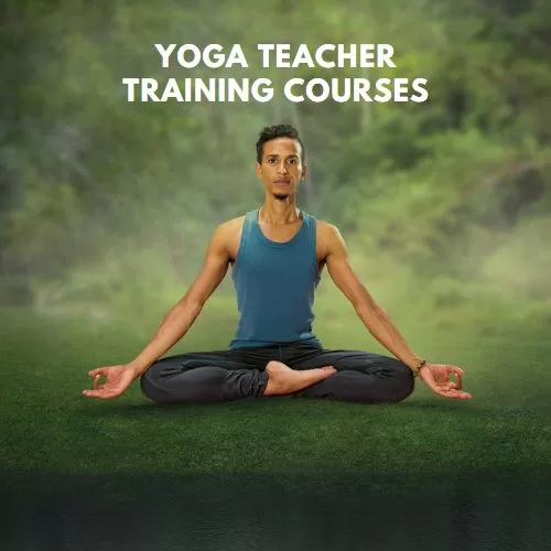 Yoga Teacher Training Courses