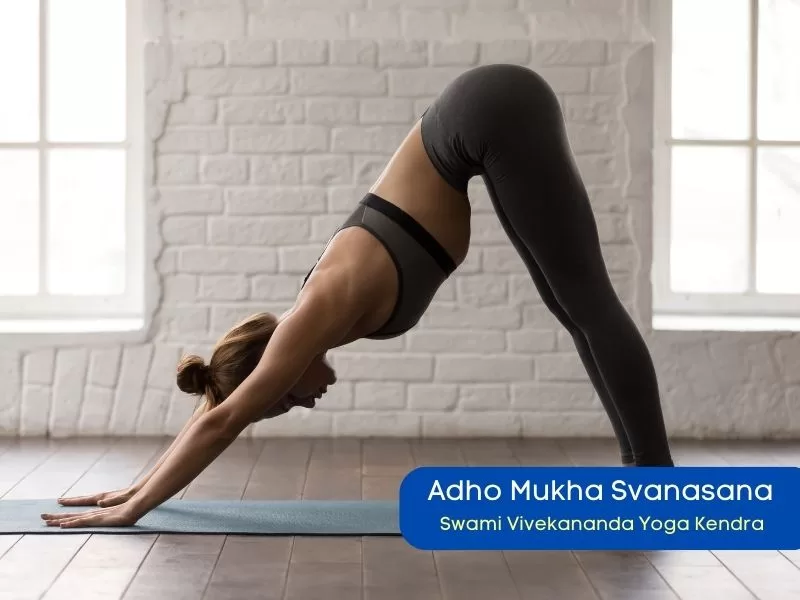 Adho Mukha Svanasana- 84 yoga asanas list