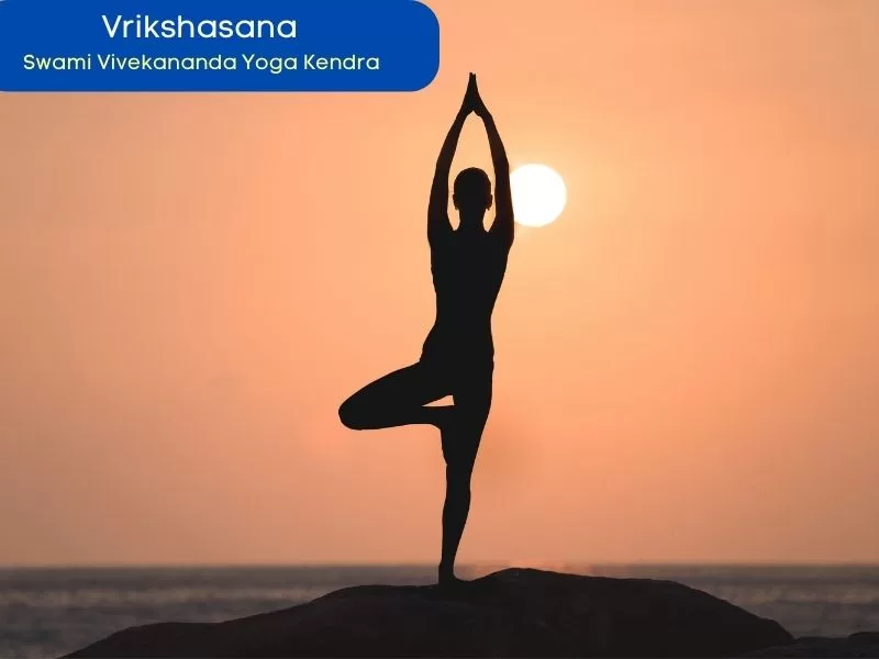 Vrikshasana- 84 yoga asanas list