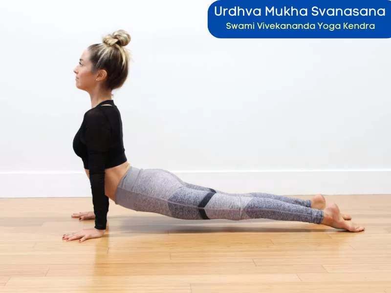 Urdhva Mukha Svanasana