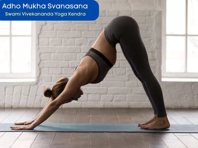 Adho Mukha Svanasana