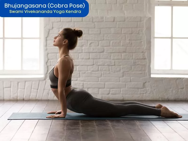 Bhujangasana (Cobra Pose)