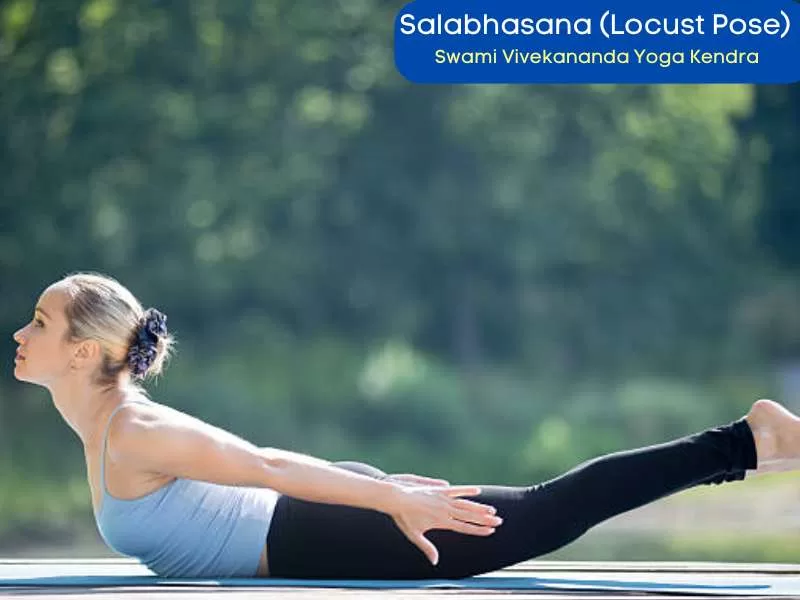 Salabhasana (Locust Pose)